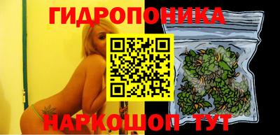 эйфоретик Краснодар
