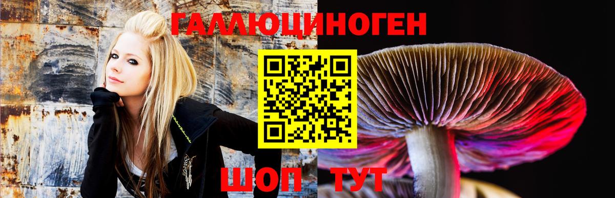 Псилоцибиновые грибы Psilocybine cubensis  цены   Касимов  Вход с VPN 